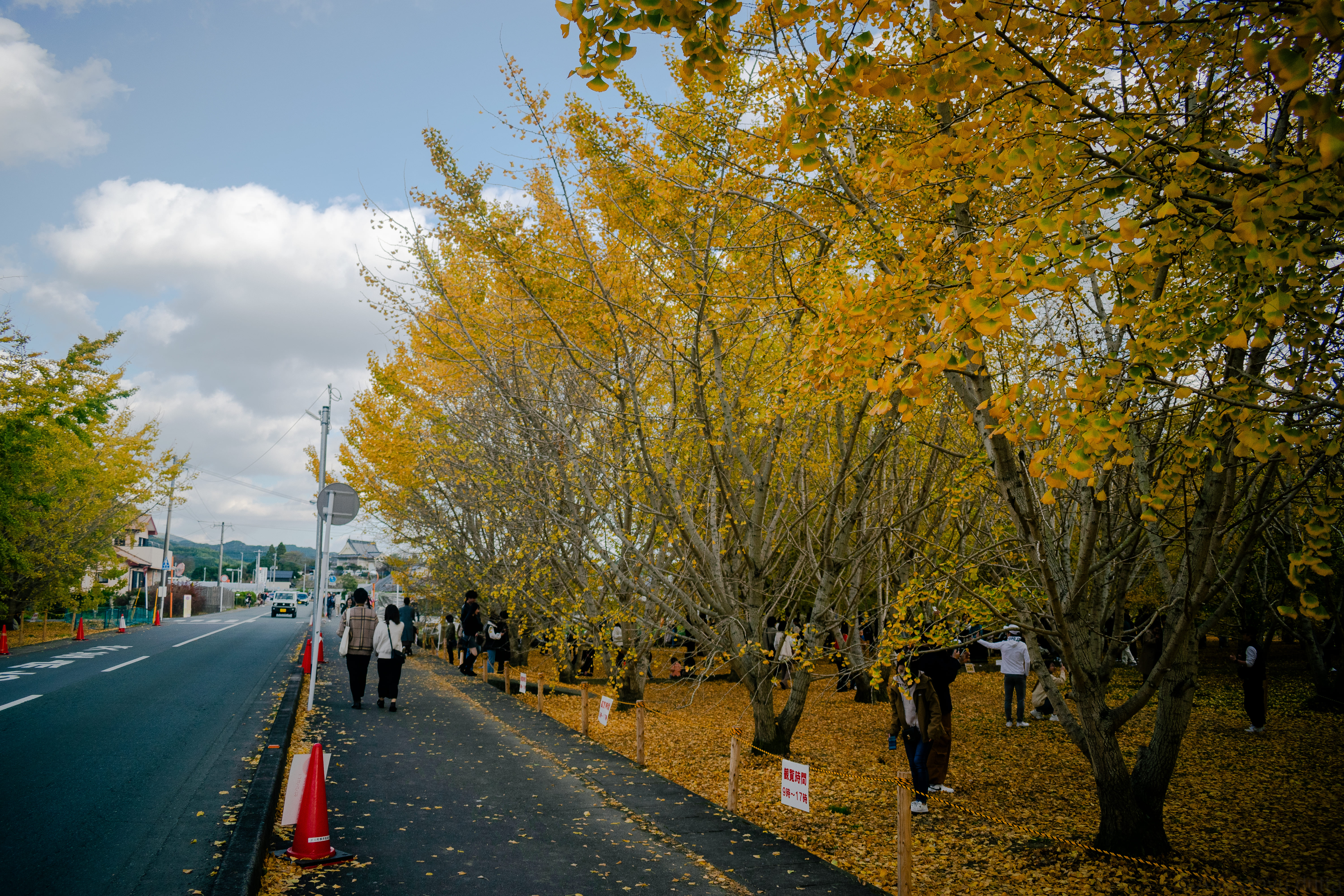 Japanese street scene
